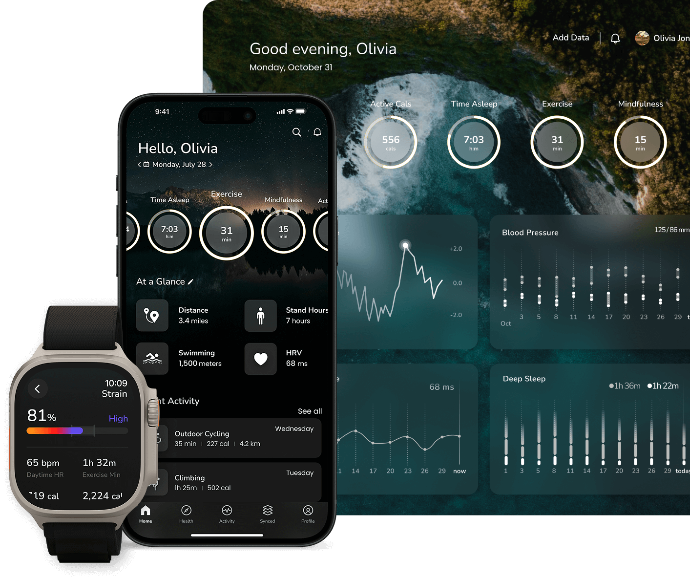 Sonar_Modern_Health_Platform_iOS_Web